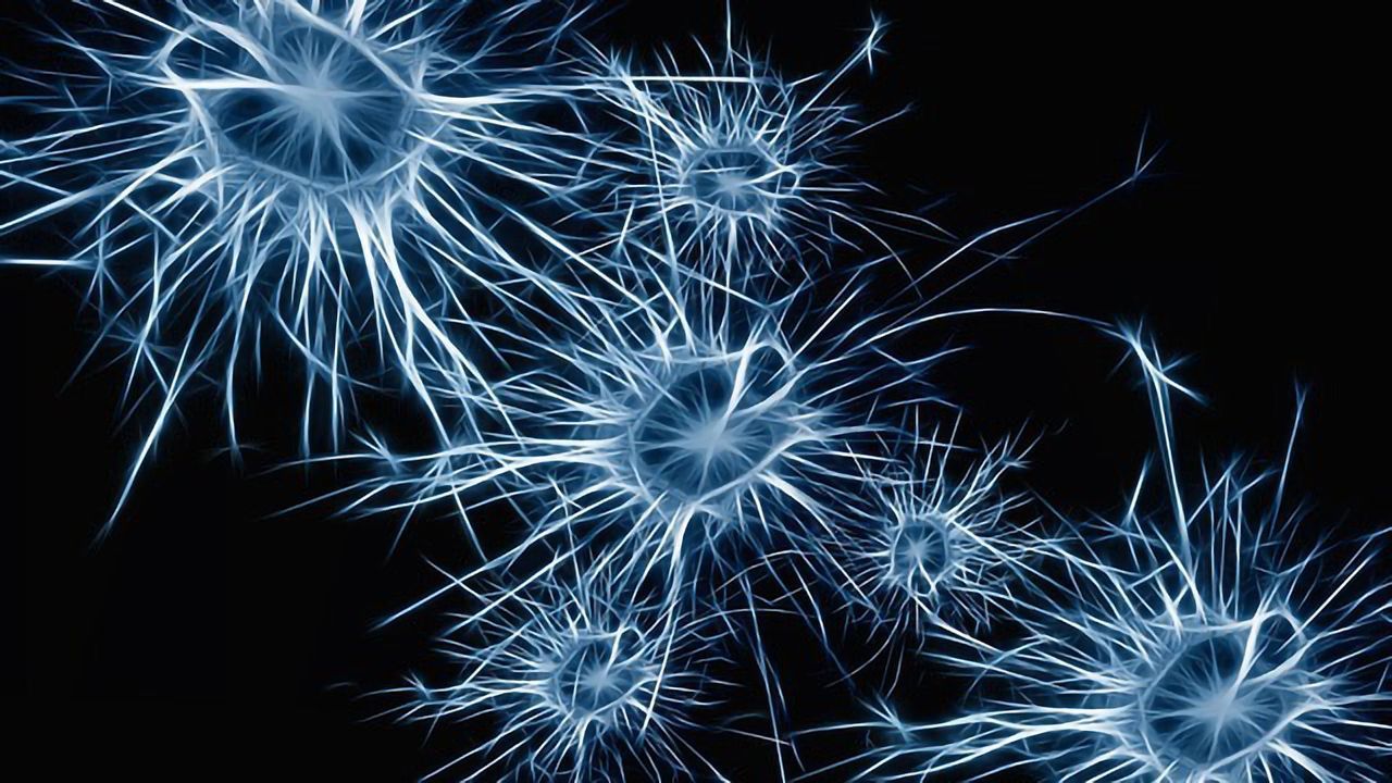 A Piece to the Puzzle of Brain Stem Cell Activation
