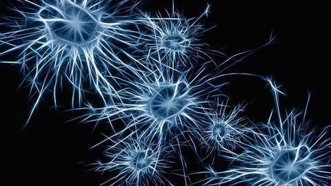 A Piece to the Puzzle of Brain Stem Cell Activation