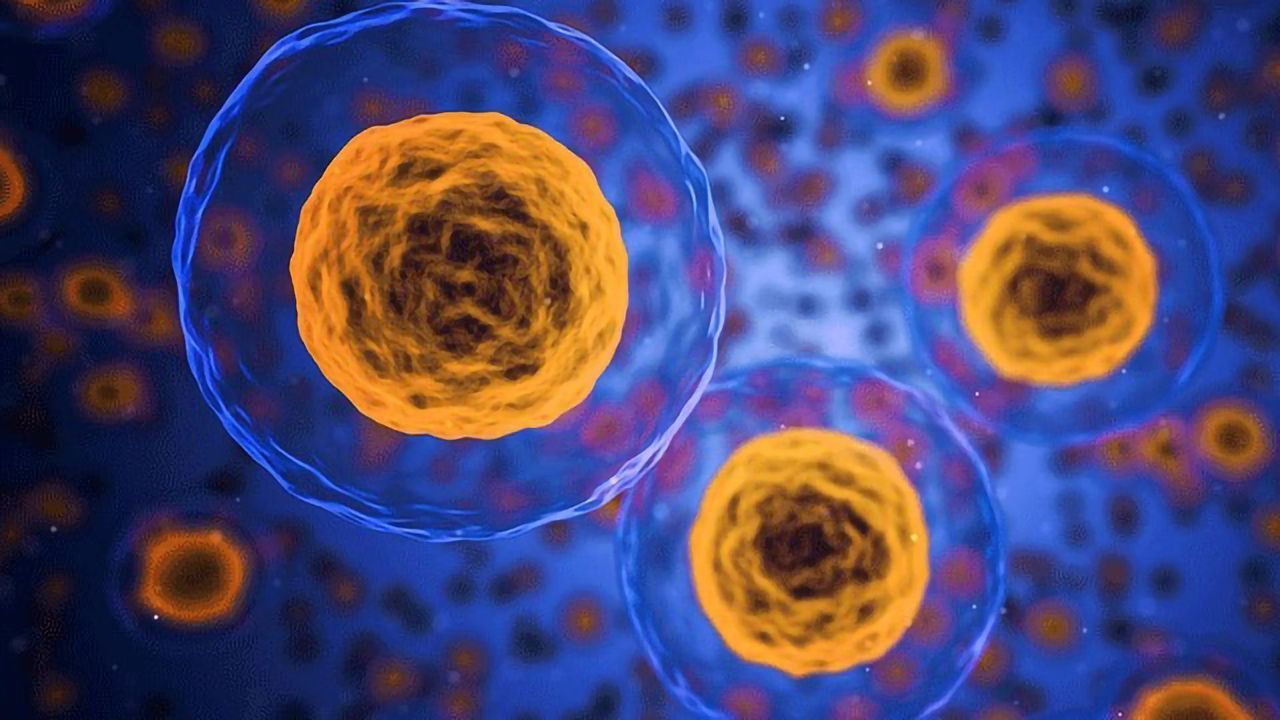 Cartilage Ear 3D-printed Without Scaffolding