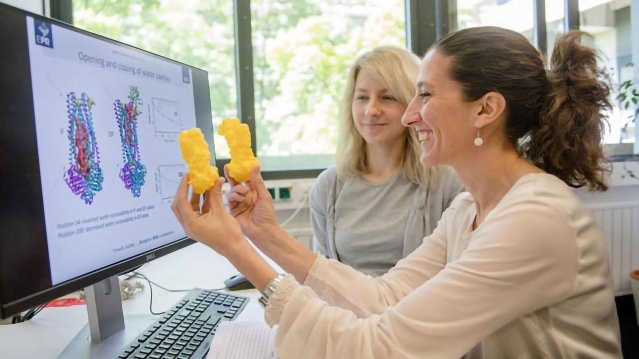 Targeting Cell Membrane Proteins to Combat Drug Resistance