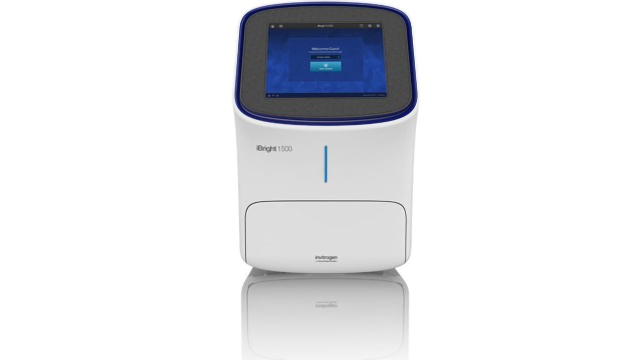 Thermo Fisher Scientific Launches Powerful Invitrogen iBright 1500 Imaging System Series for Western Blot and Gel Imaging