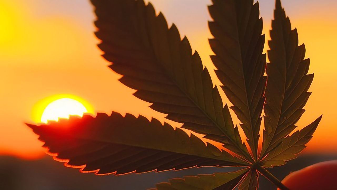 New Pesticide CRMs Released Specifically for Cannabis Labs in California and Similar States