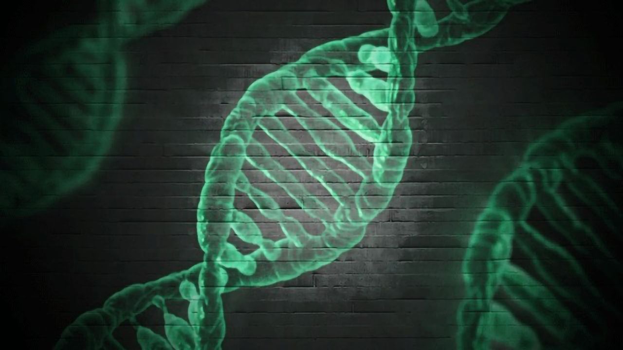 Colorectal Cancer Blood Test Driven by Immuno-transcriptomics