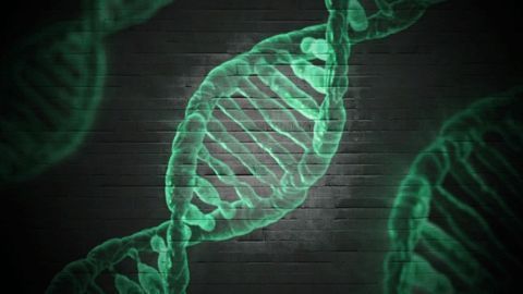 Colorectal Cancer Blood Test Driven by Immuno-transcriptomics