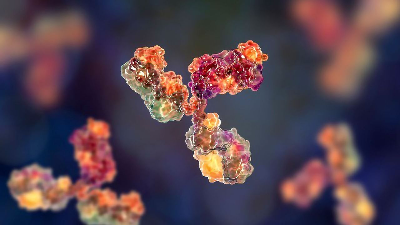 The Way Forward for Antibodies in Neuroscience