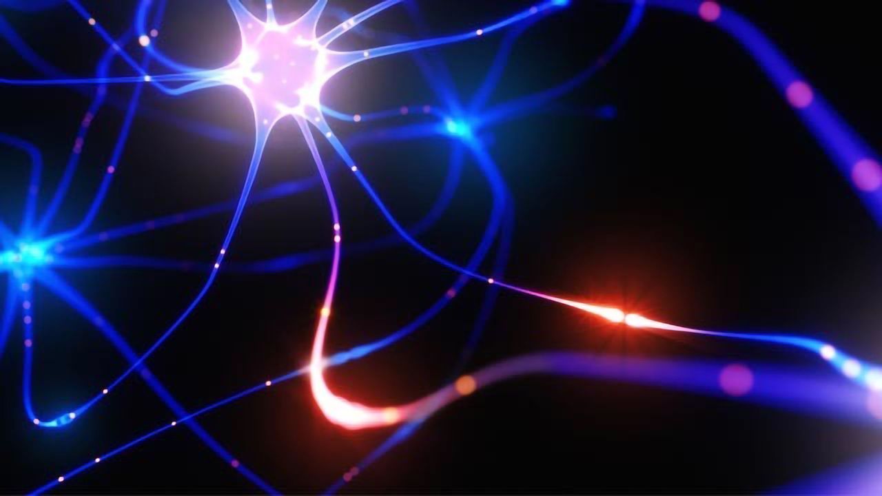 Switching Embryonic Stem Cells to Neurons to Expose Drug Effects on the Developing Brain