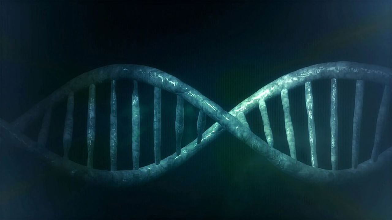 “Dark” Heart of the Human Genome Contains Chunks of Ancient DNA