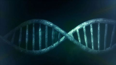 “Dark” Heart of the Human Genome Contains Chunks of Ancient DNA