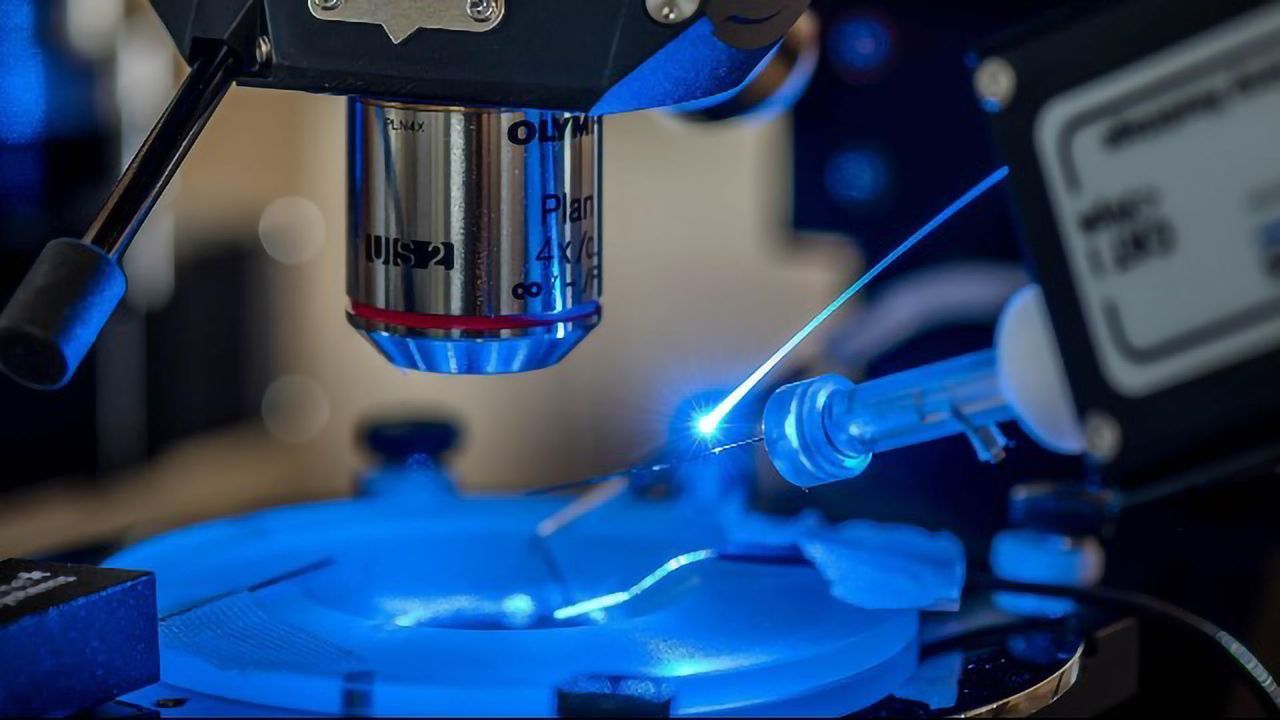 "Goldilocks" Neurons Promote REM Sleep