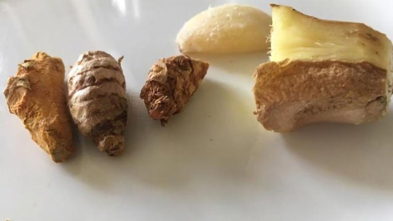 Timed Release of Turmeric Stops Cancer Cell Growth In Vitro