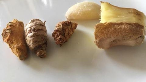 Timed Release of Turmeric Stops Cancer Cell Growth In Vitro