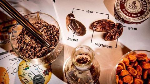 Compounds in Cocoa Bean Shells Fight Obesity in Mouse Model