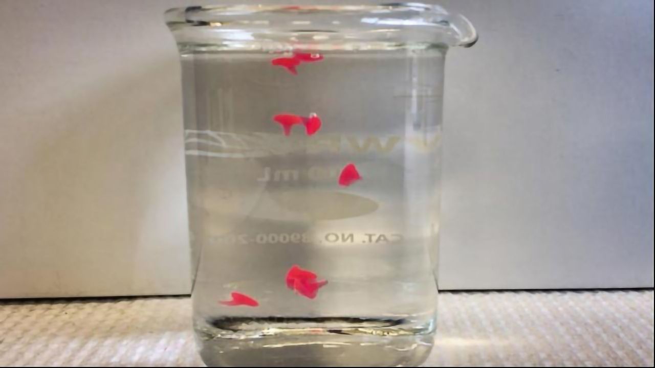 New Way to Deliver Drugs Through the Skin Using “Nanoemulsion” Gels