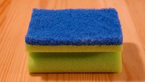 Kitchen Sponges Host Bacteria-fighting Microbes