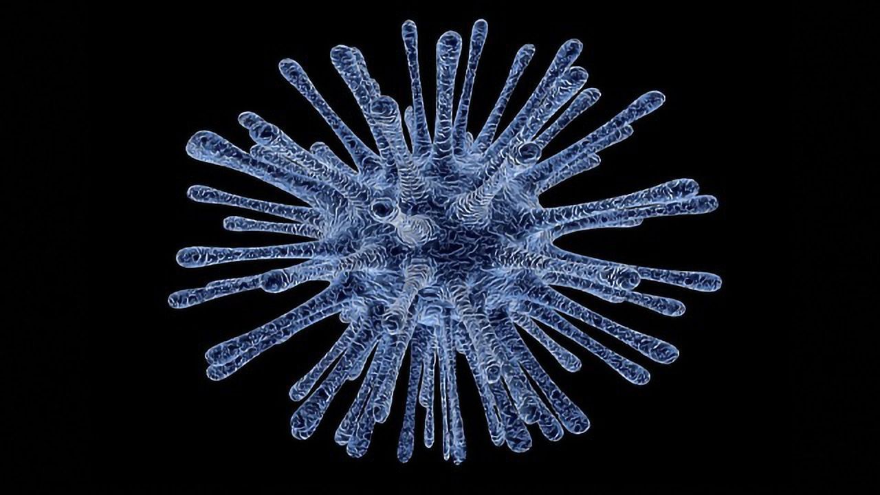 Understanding Immune Cell Recruitment Key to STI Vaccine Development