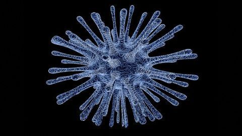 Understanding Immune Cell Recruitment Key to STI Vaccine Development