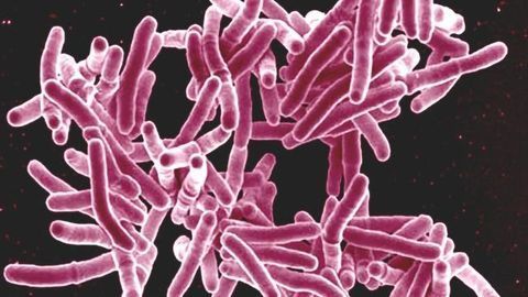 Clinical Trial Assessing Treatments for Preventing People at High Risk From Developing Multidrug-resistant TB Launches