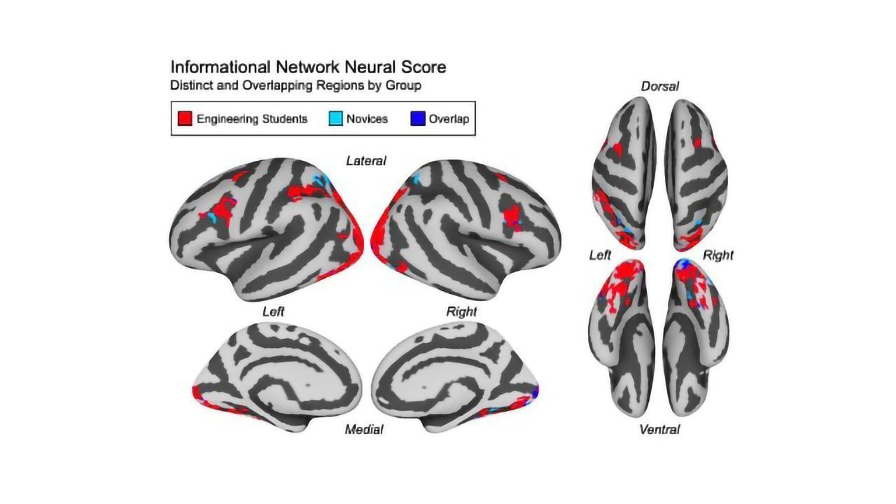 Brain Activity Measures Whether Students Have Grasped a Concept