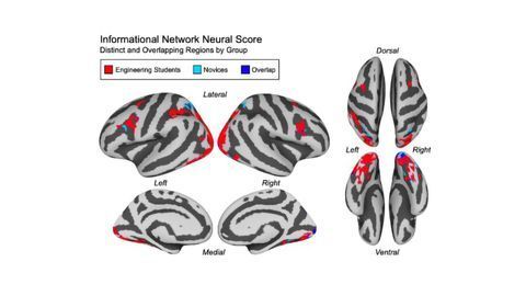 Brain Activity Measures Whether Students Have Grasped a Concept