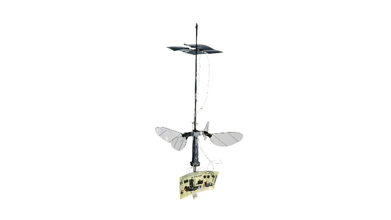The Flight of the RoboBee