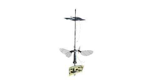 The Flight of the RoboBee