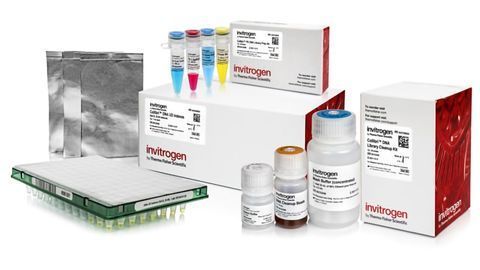 New Library Prep Kits Help Prevent Costly Errors in Whole-Genome DNA Sequencing