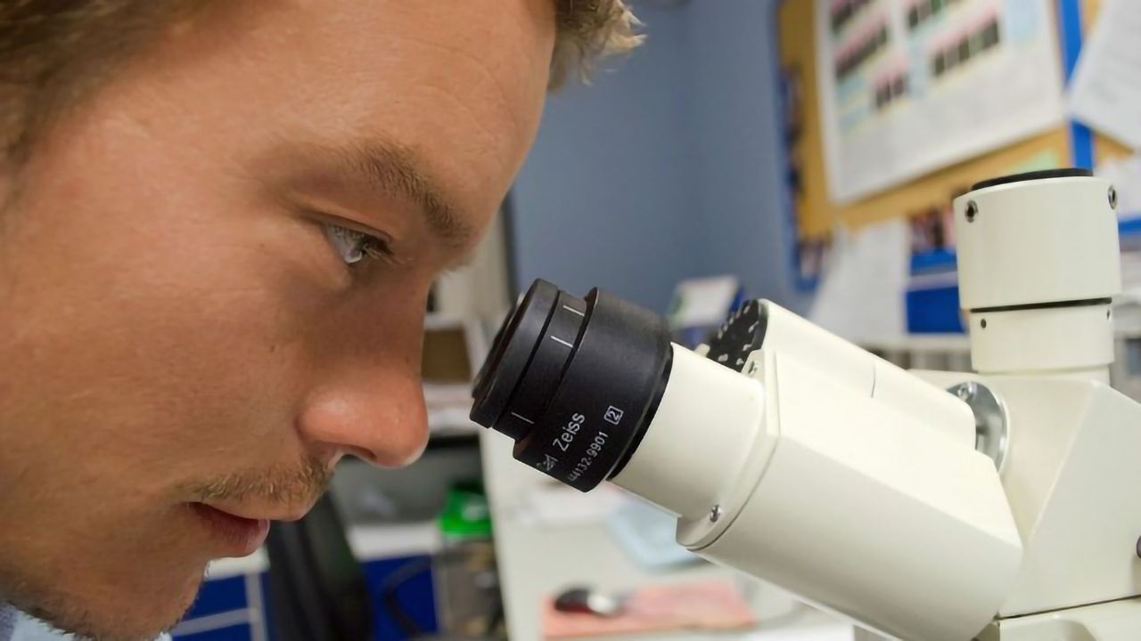 Researchers Combat Drug-resistant Tuberculosis in the Lab