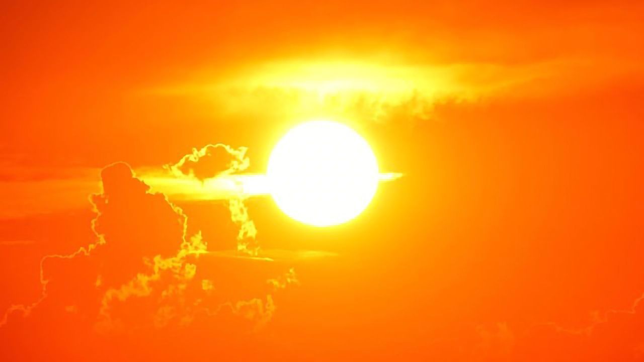 Low Sunlight Exposure in Pregnancy Linked with Higher Risk of Learning Disabilities