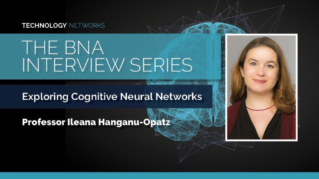 BNA Interview Series: Exploring Cognitive Neuronal Networks With Ileana Hanganu-Opatz