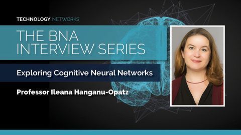 BNA Interview Series: Exploring Cognitive Neuronal Networks With Ileana Hanganu-Opatz