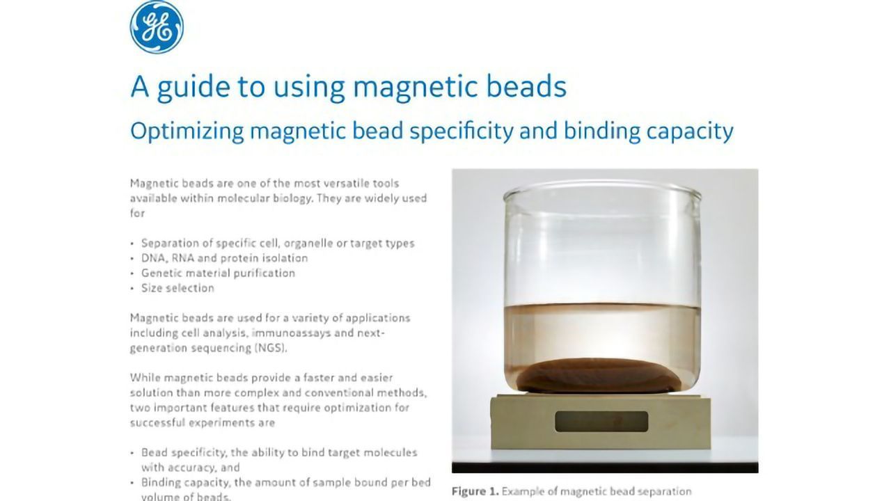 Optimizing Magnetic Bead Specificity and Binding Capacity