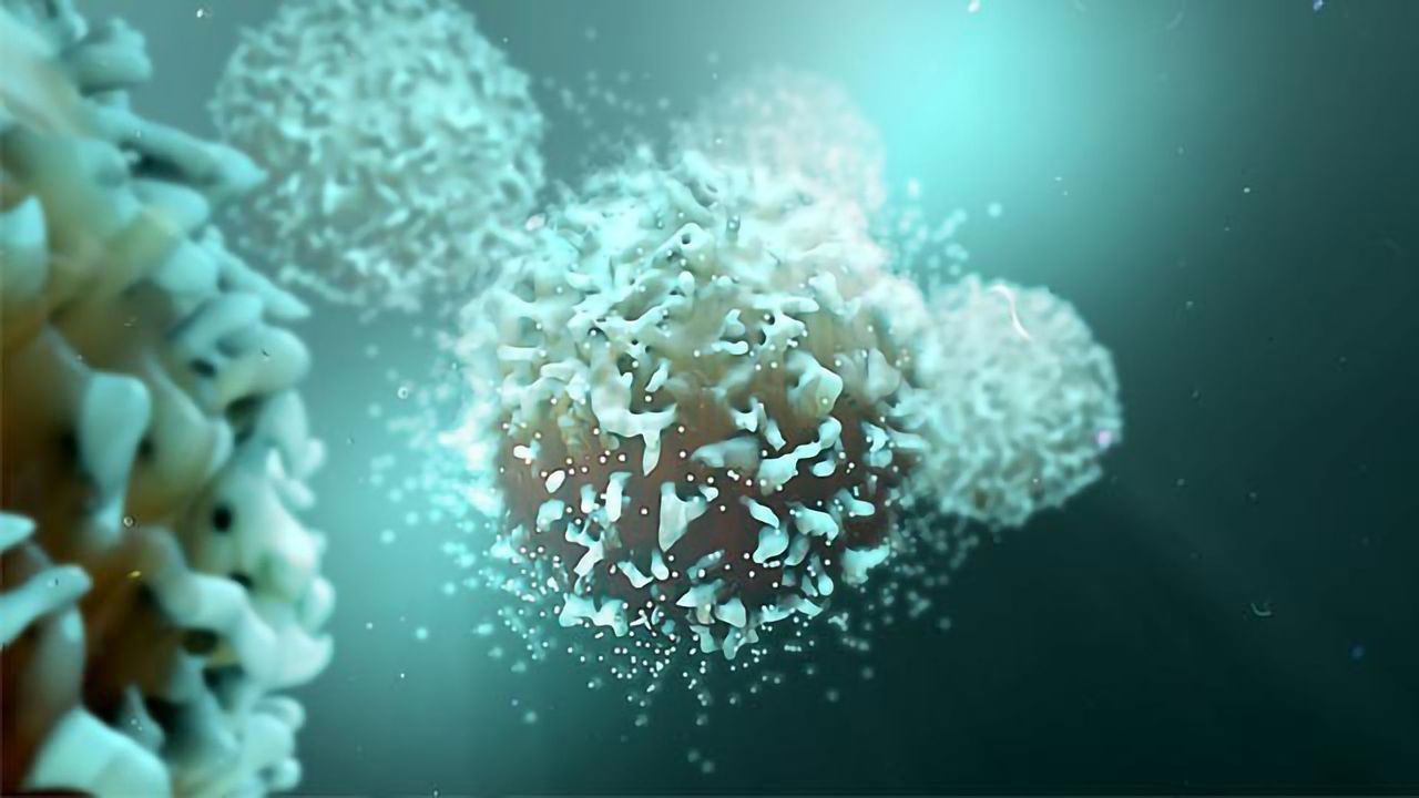 Genetically Manipulated Virus Destroys Tumor Cells in Mouse Model