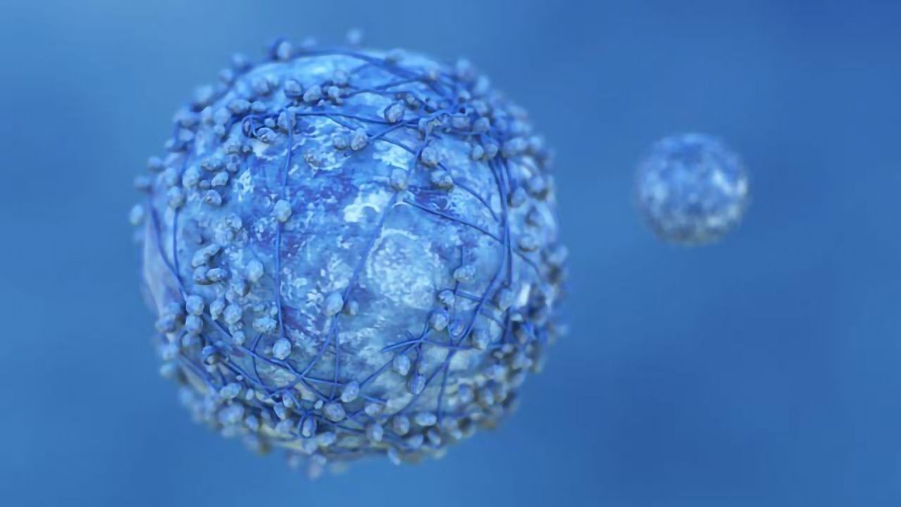 Herceptin–Chemotherapy Drug Combo Keeps Women’s Breast Cancers at Bay