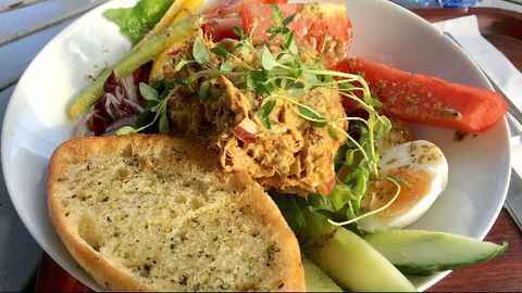 Student Tuna Fans Unaware of Heavy Metal Risks