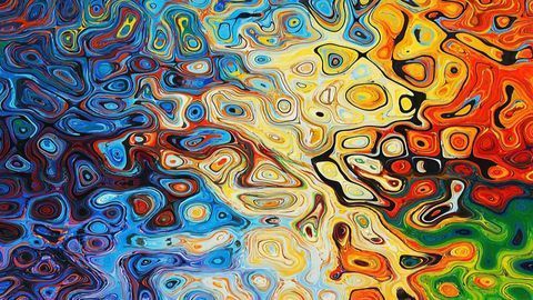How the Brain Sees Color and Shape