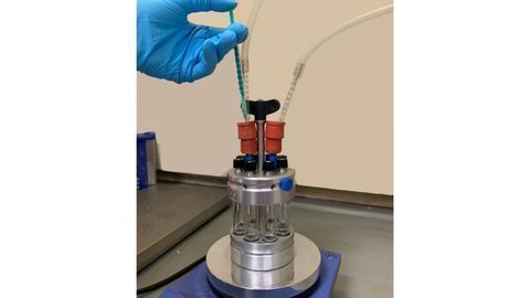 Biocatalytic Hydrogenation Optimisation
