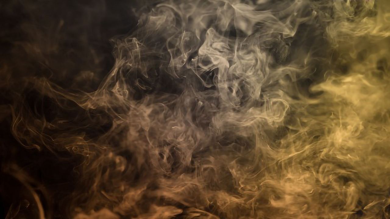 E-cigarette Smoke Stresses Neural Stem Cells