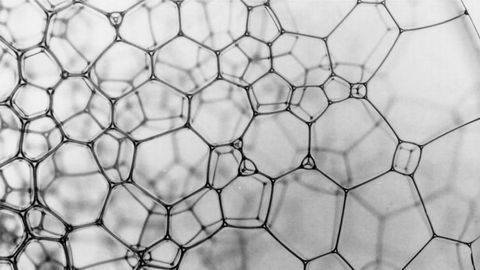 Understanding the Complexity of Our Microbiome Using Math