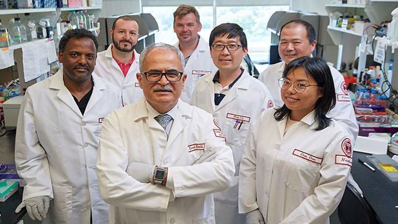 In a World First, HIV Is Eliminated From the Genomes of Living Animals
