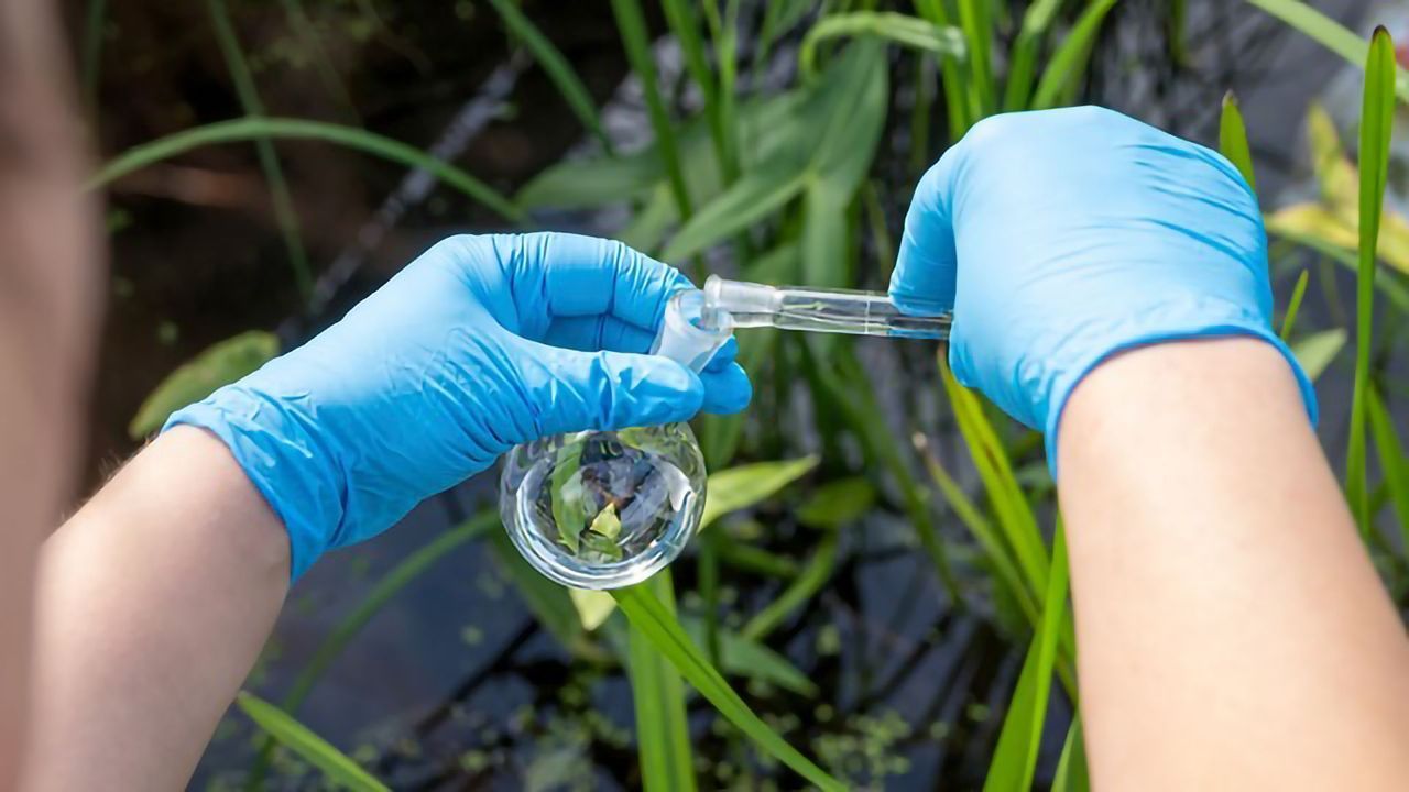 Non-Targeted Environmental Sample Analysis: 4 Key Steps