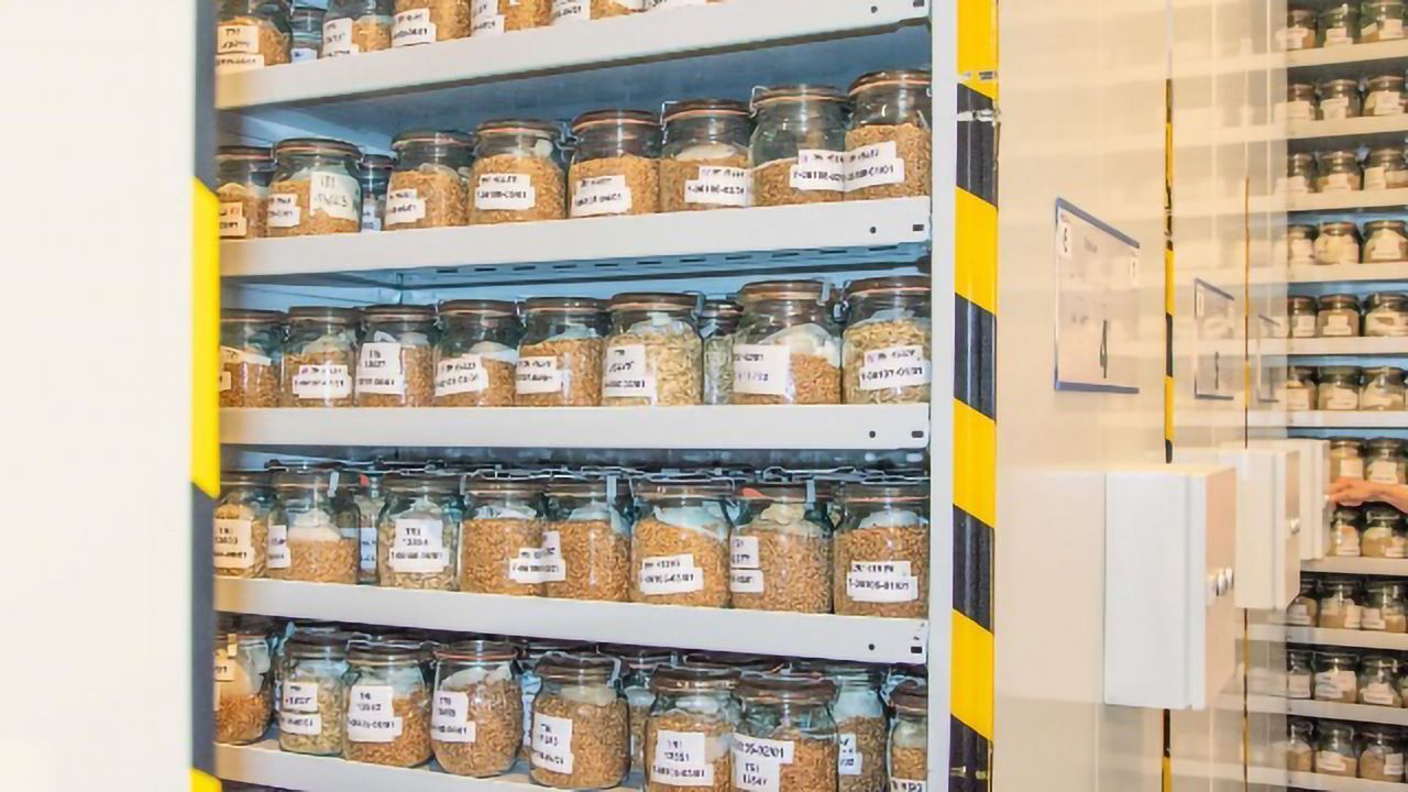 Bioinformatics Embraced in Gene Banks