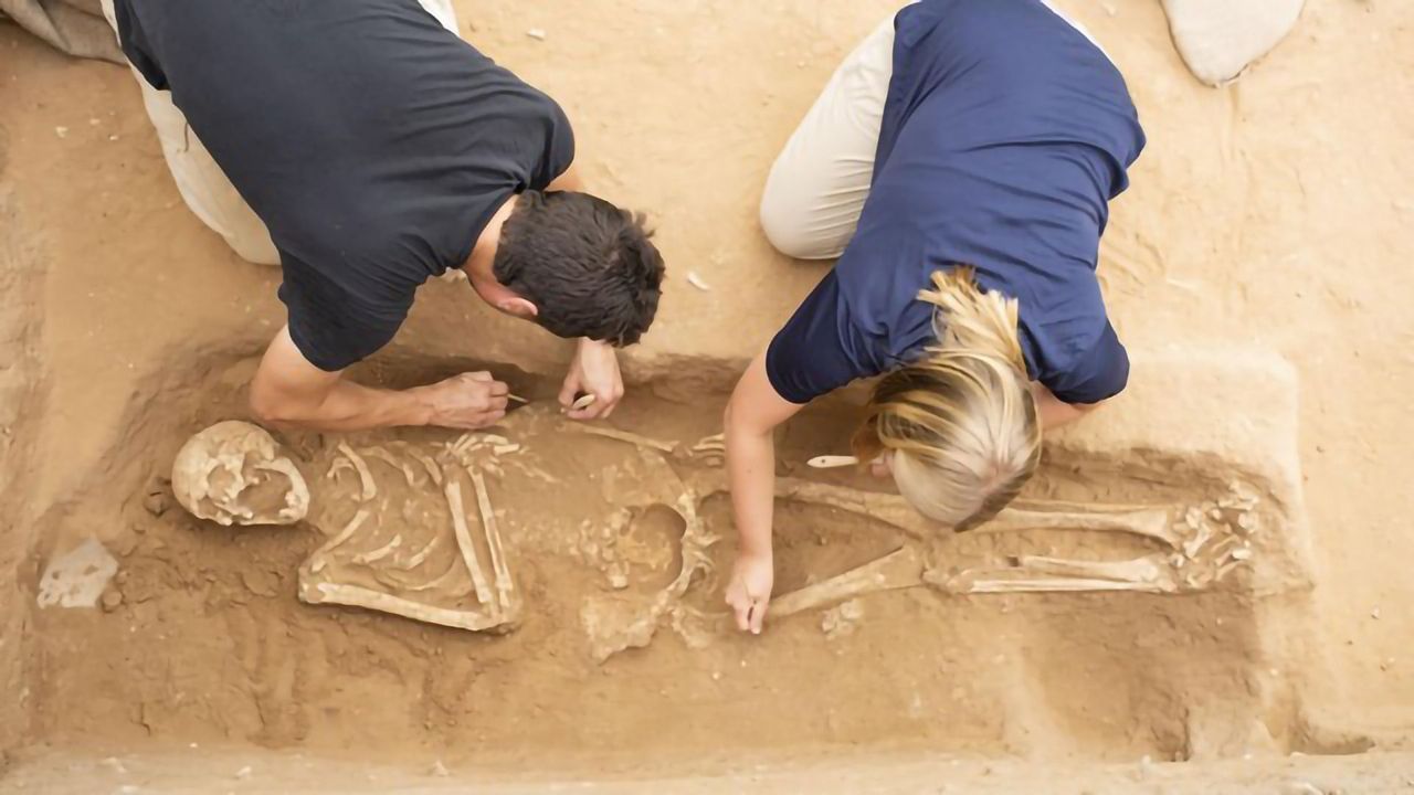 Ancient DNA Reveals the Origins of the Biblical Philistines