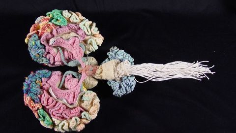 This Amazing Anatomically Accurate Knitted Brain Took a Year to Make