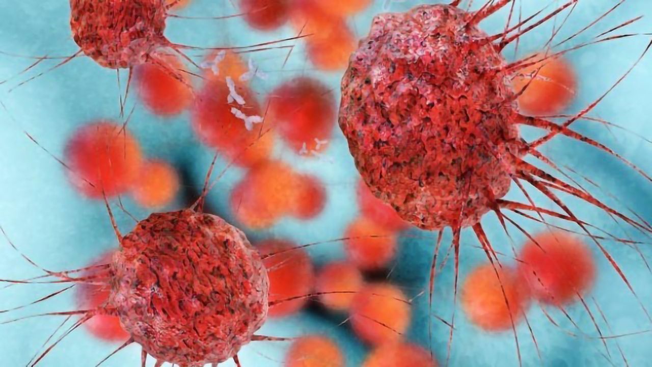 Strain of Common Cold Virus Attacks and Destroys Bladder Cancer Cells