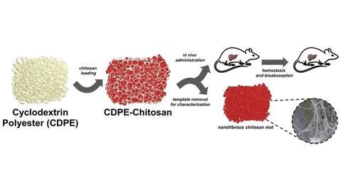 Team Develop Nanoscale Bioabsorbable Wound Dressing