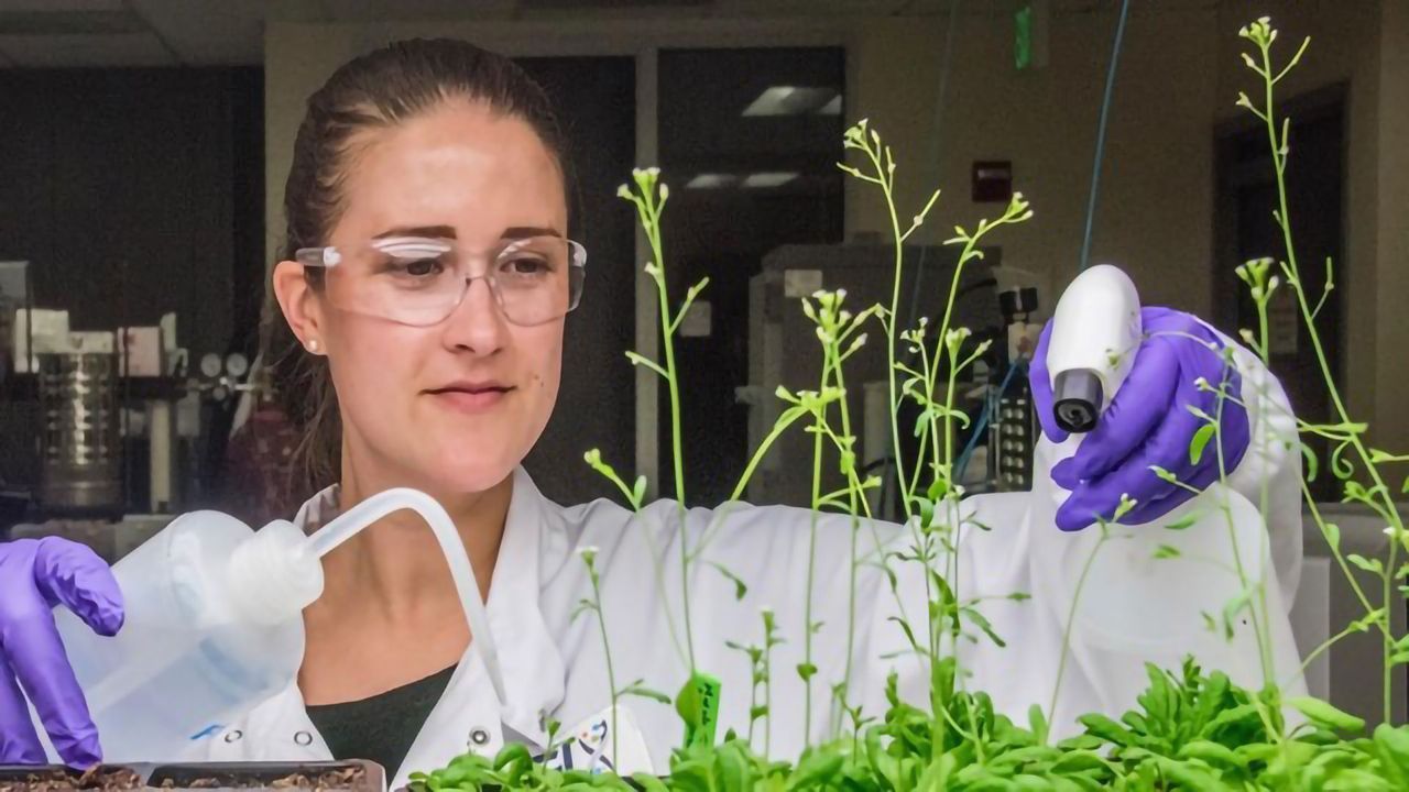 Drop-seq Applied Successfully in Plant Cells for the First Time