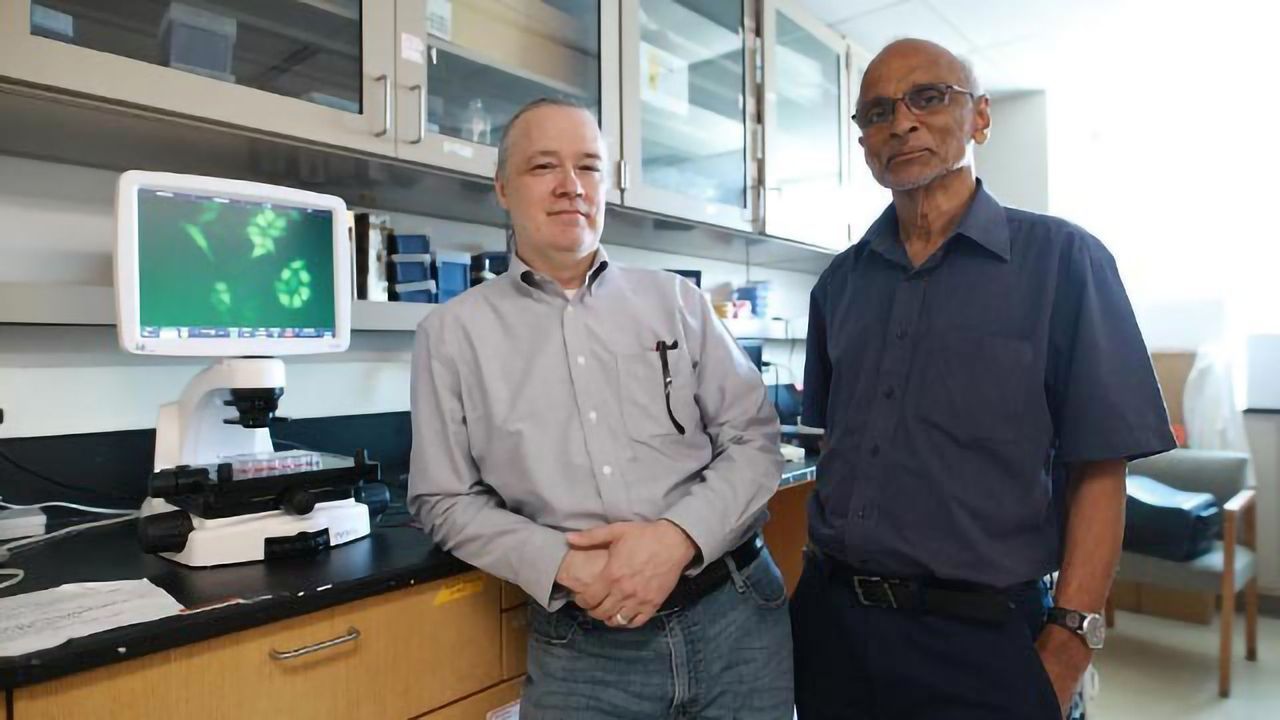 New Class of Cancer-killing Agents Could Eradicate Cancer Stem Cells