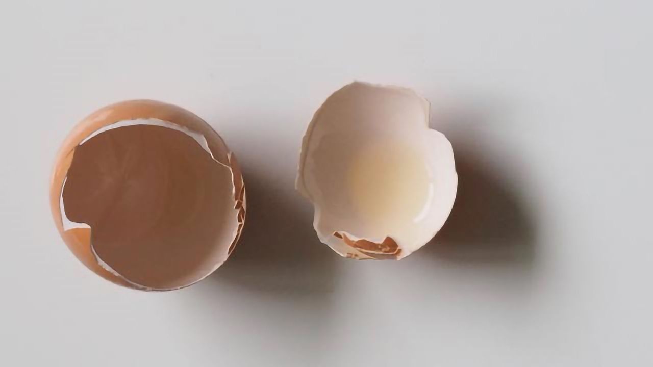 Using Eggshells to Enhance the Growth of New Bones