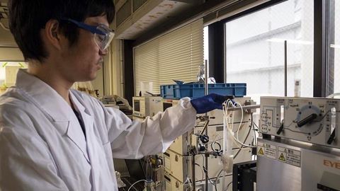 Enhancing the Infection-fighting Potential of Natural Products