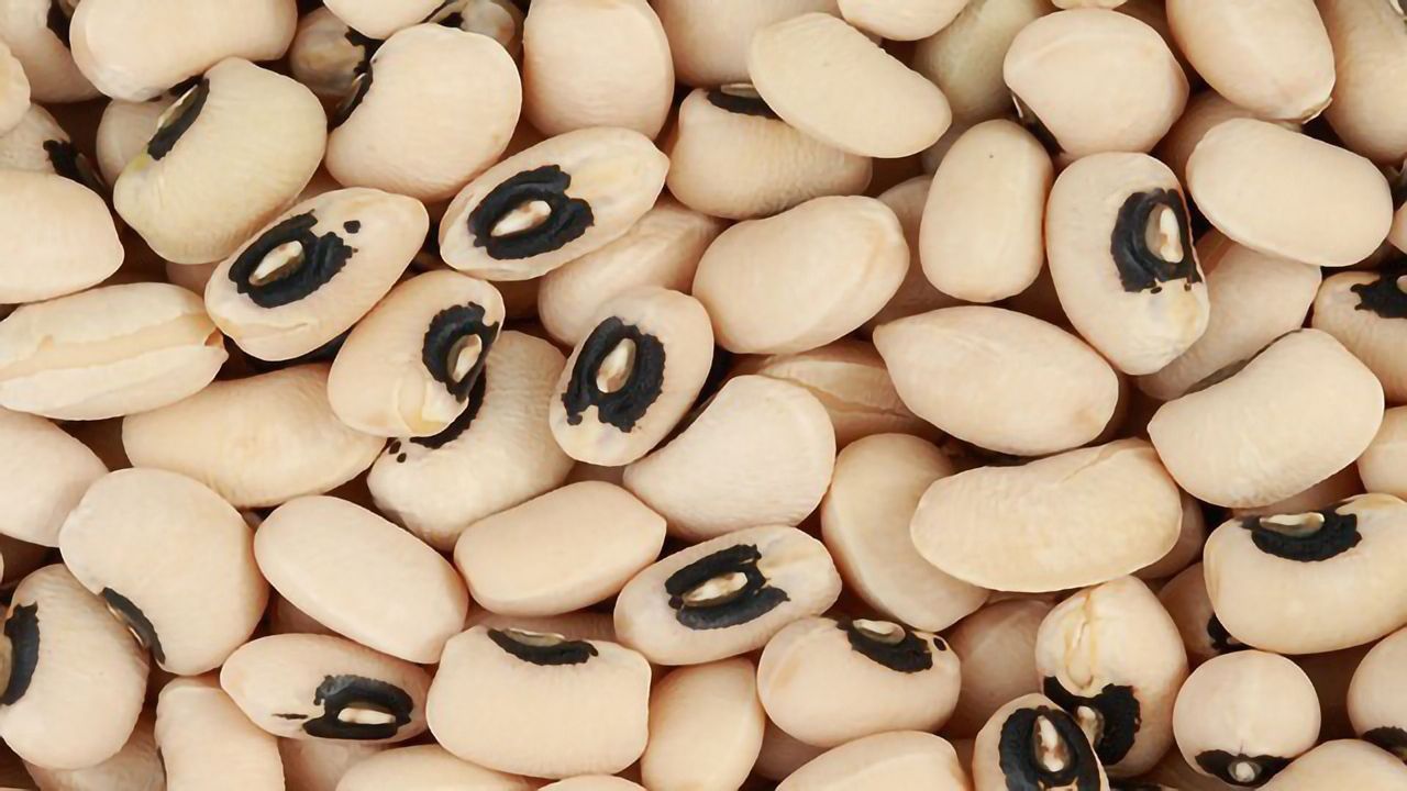 Scientists Decode the Genome of Black-eyed Peas
